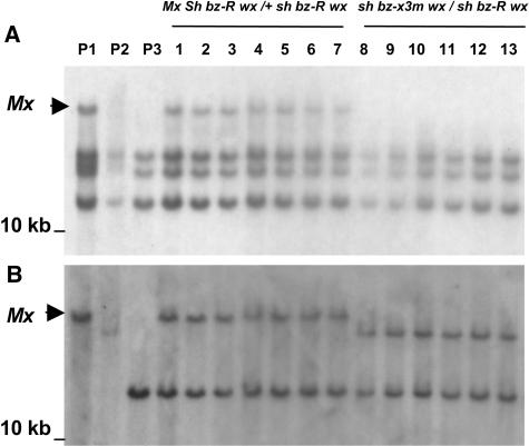 Figure 5.