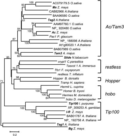 Figure 10.