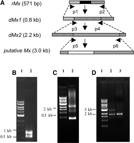 Figure 4.