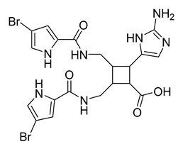 graphic file with name antibiotics-10-00318-i058.jpg