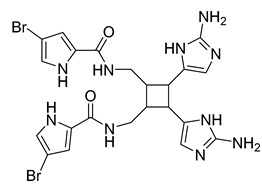 graphic file with name antibiotics-10-00318-i057.jpg