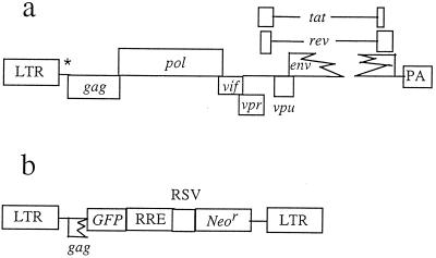 FIG. 1