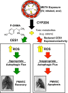 Fig. 3.