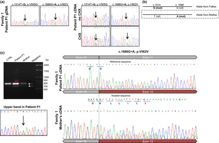 FIGURE 2