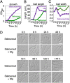 FIG 3