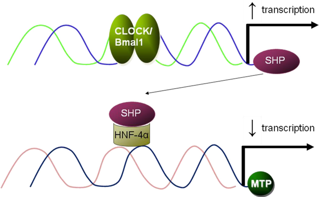 Fig 3