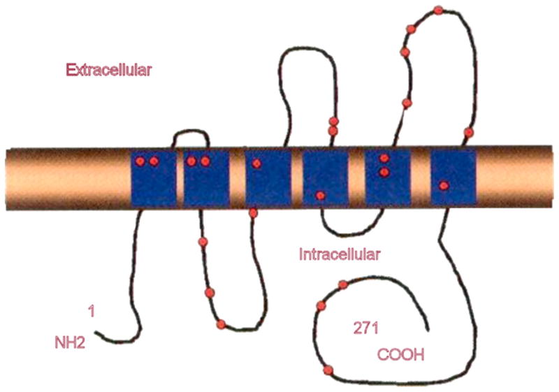 Fig. 10