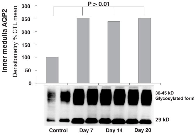 Fig. 16