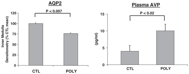 Fig. 11