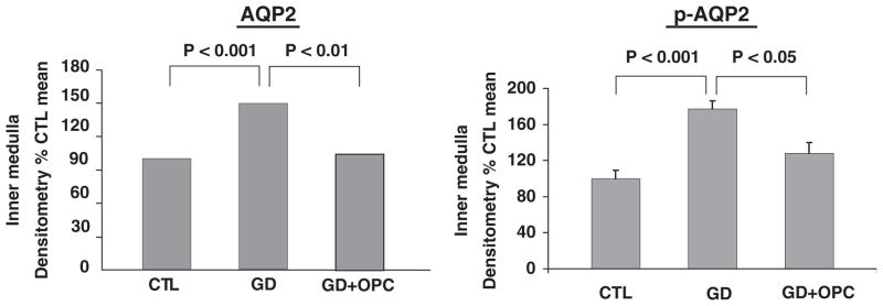 Fig. 14