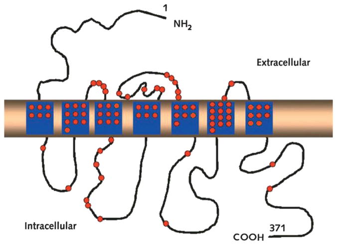 Fig. 9