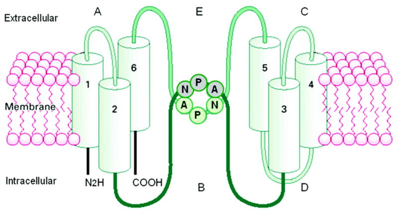 Fig. 7