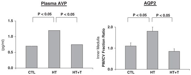 Fig. 12