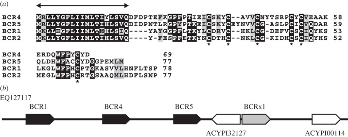 Figure 2.