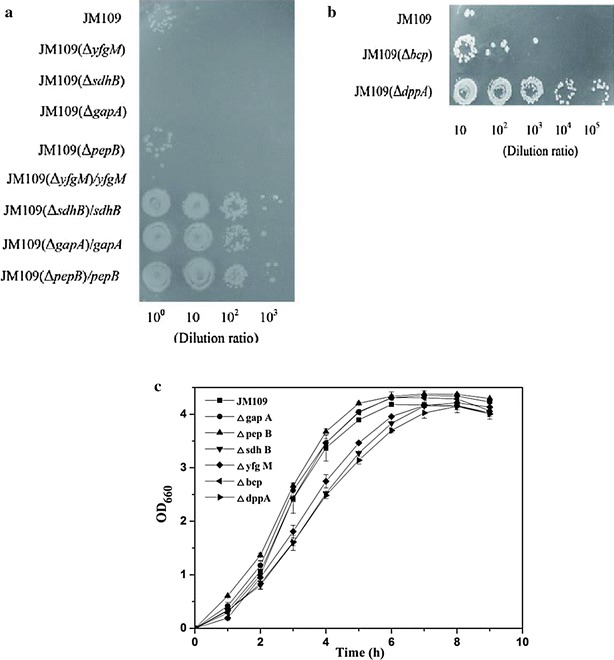 Fig. 4