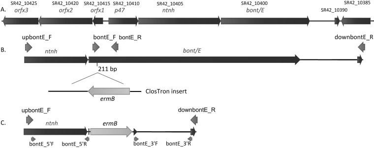 FIG 2