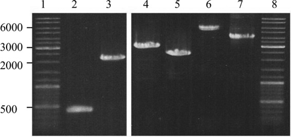 FIG 3