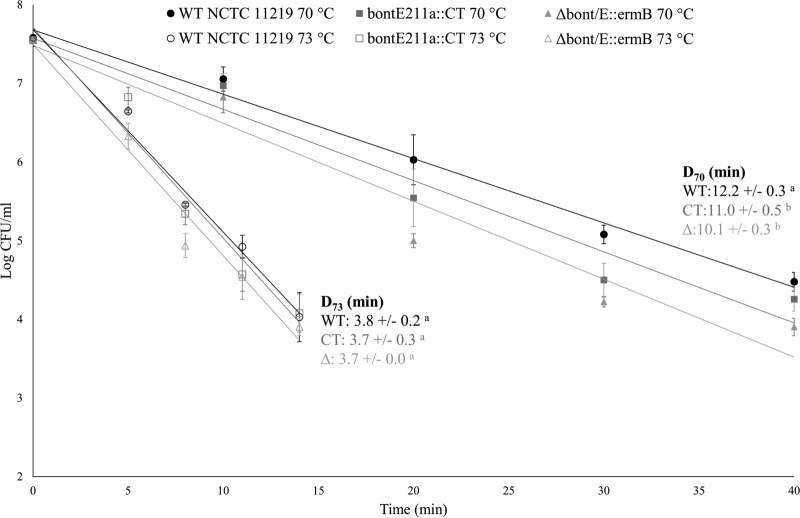 FIG 6