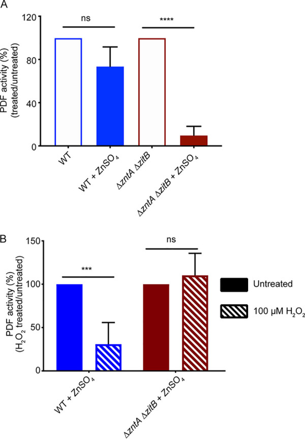 FIG 2