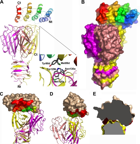 FIGURE 3.