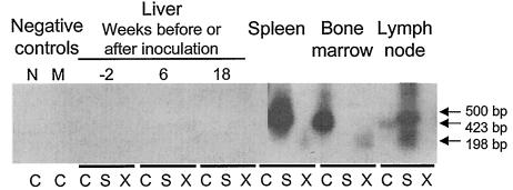 FIG. 3.