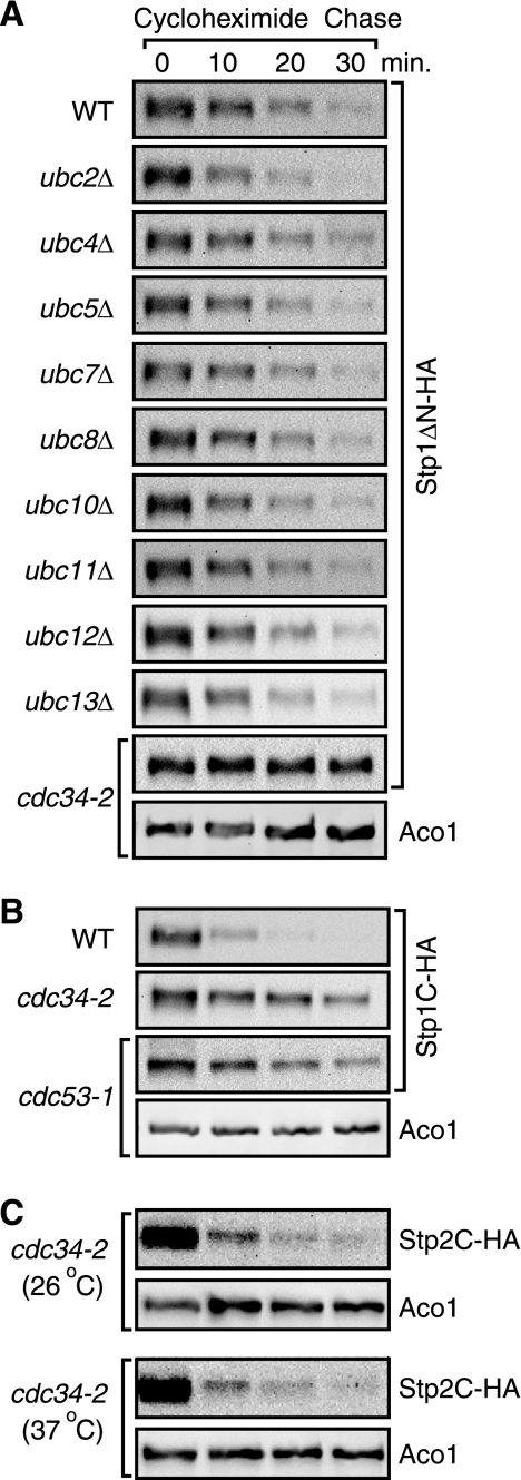 FIGURE 4.