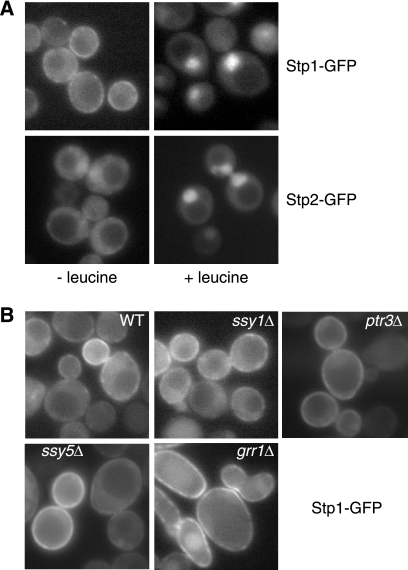 FIGURE 6.