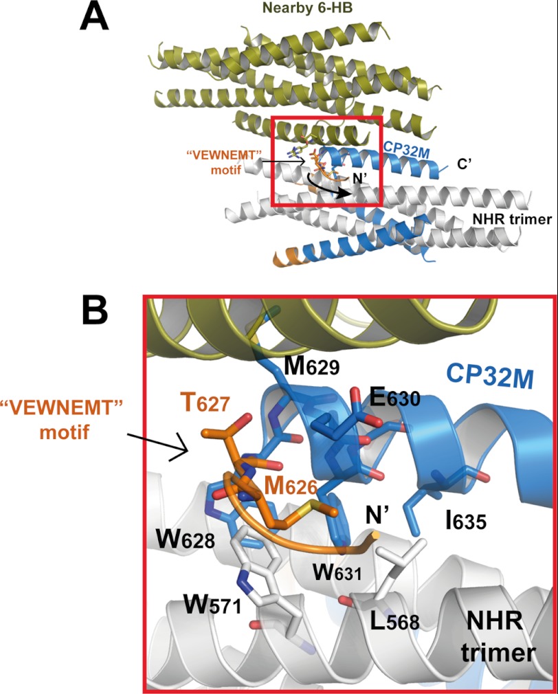 FIGURE 4.