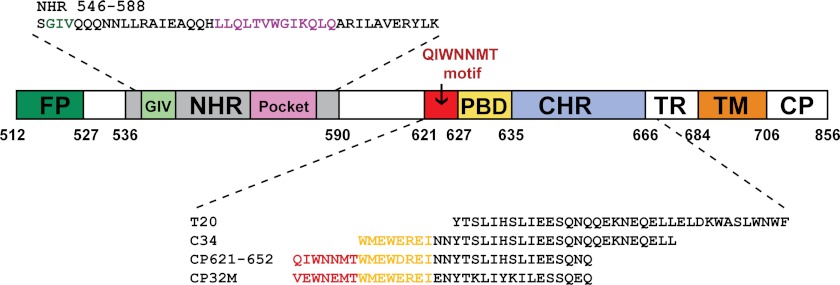 FIGURE 1.