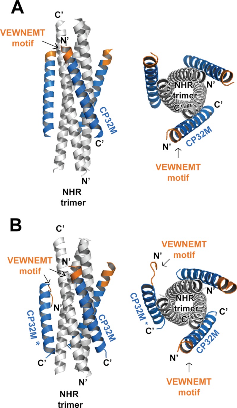 FIGURE 3.