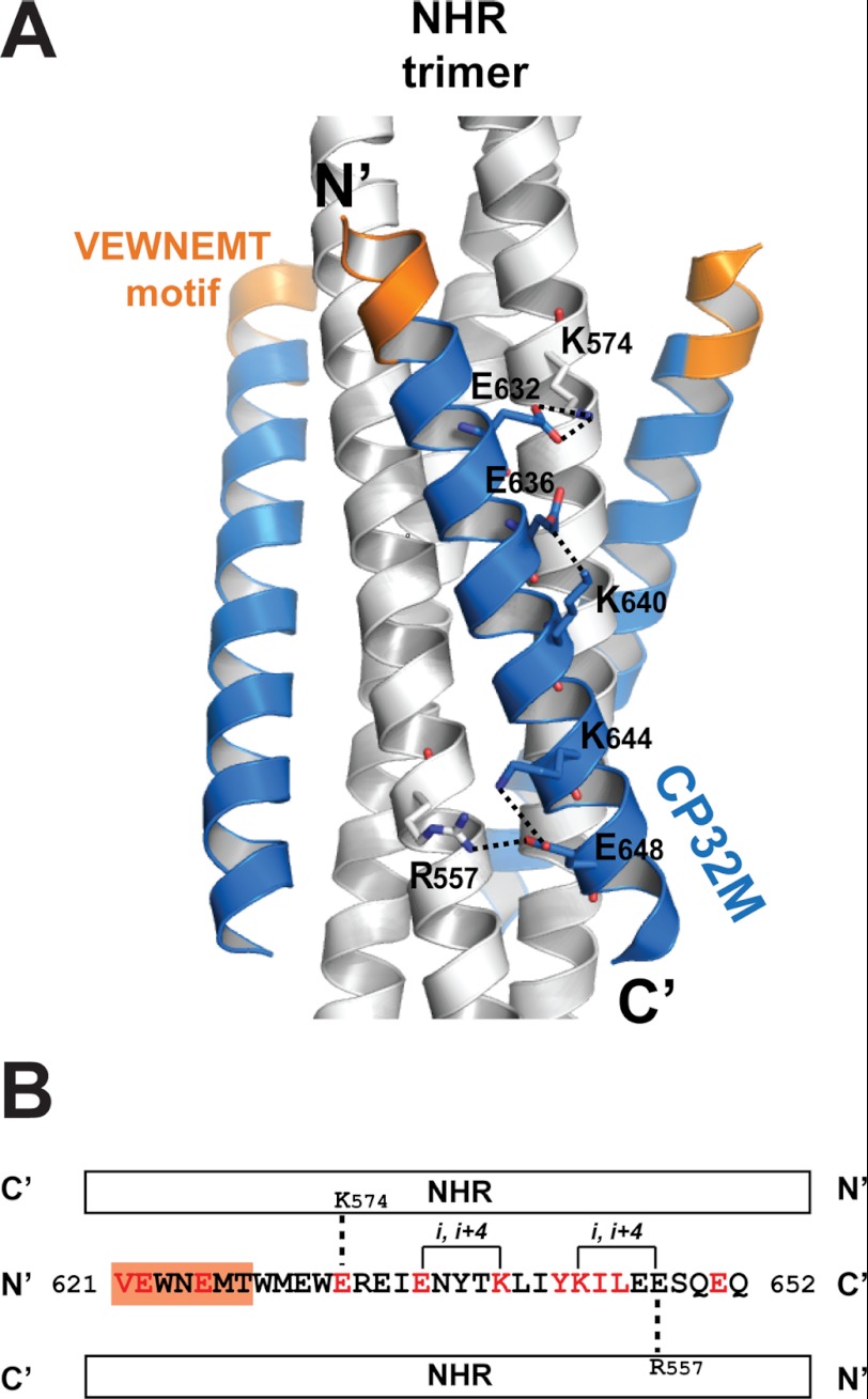 FIGURE 5.