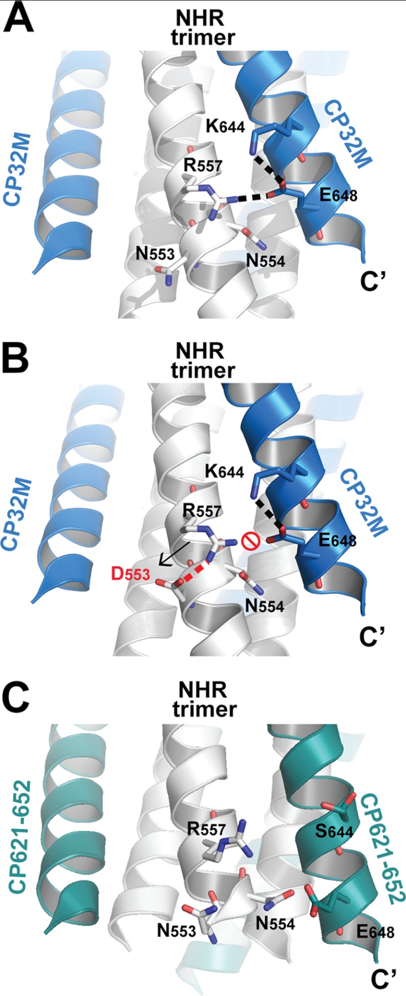 FIGURE 7.