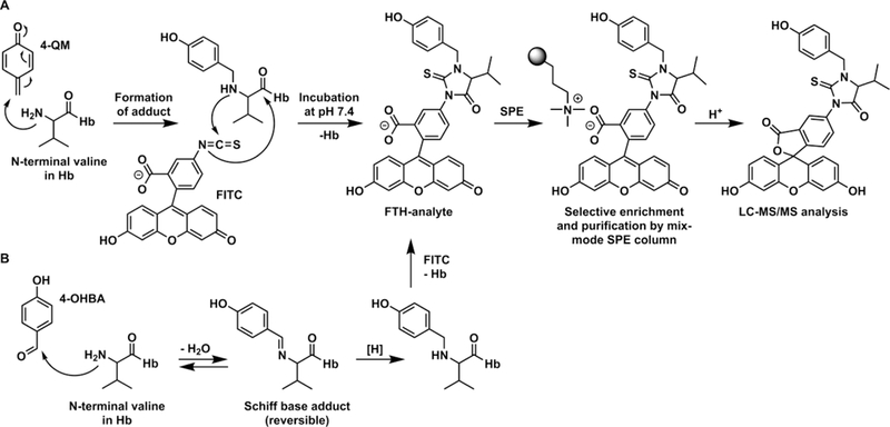 Scheme 1.