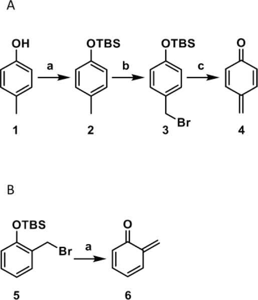 Scheme 2.