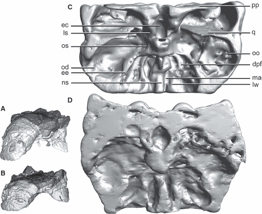 Fig. 5