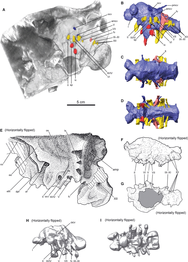 Fig. 7