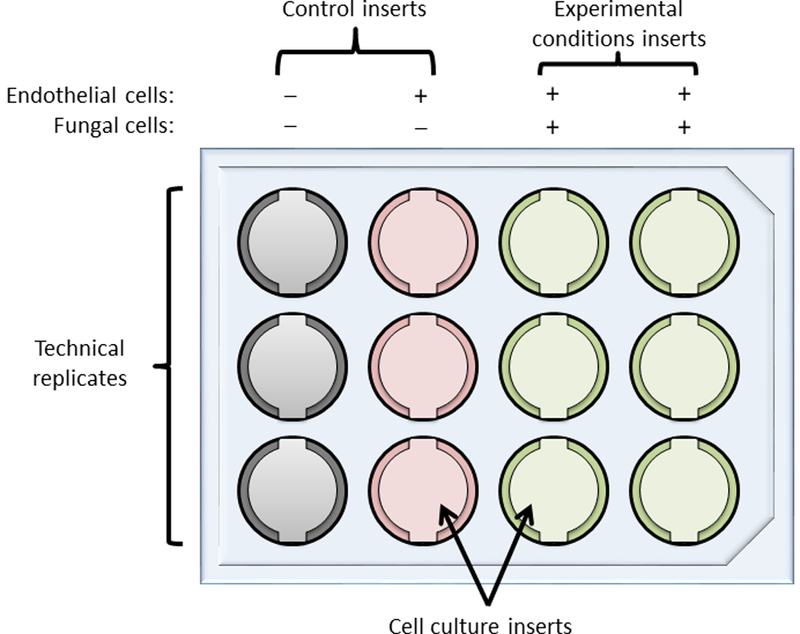 Figure 1: