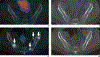 Fig. 3—