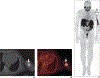Fig. 5—