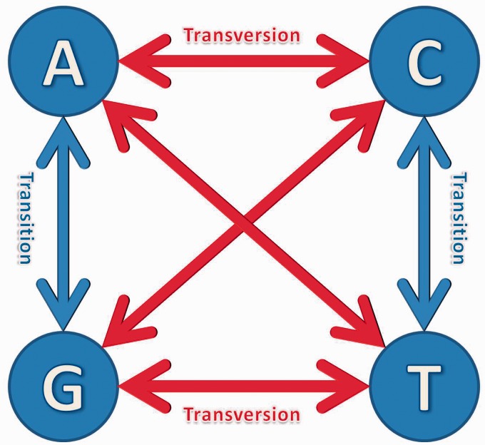 Figure 2: