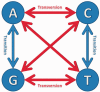 Figure 2: