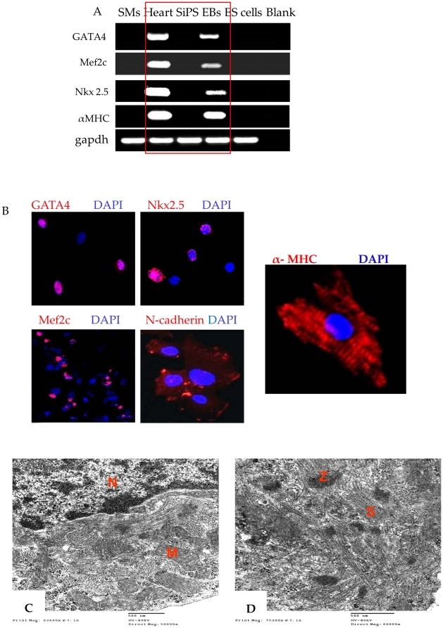 Figure 5