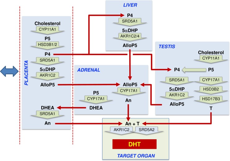 Fig 6