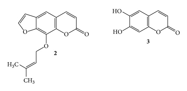 Scheme 2