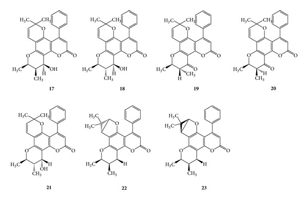 Scheme 8