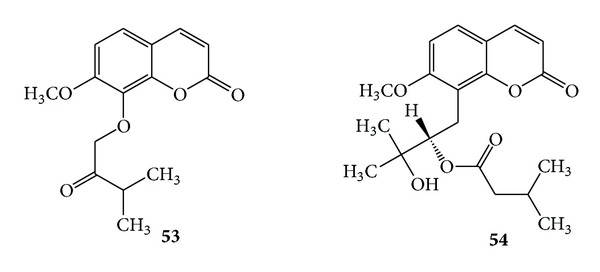 Scheme 18