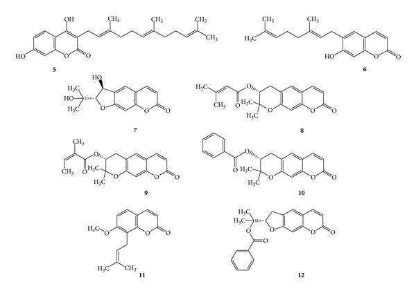 Scheme 4