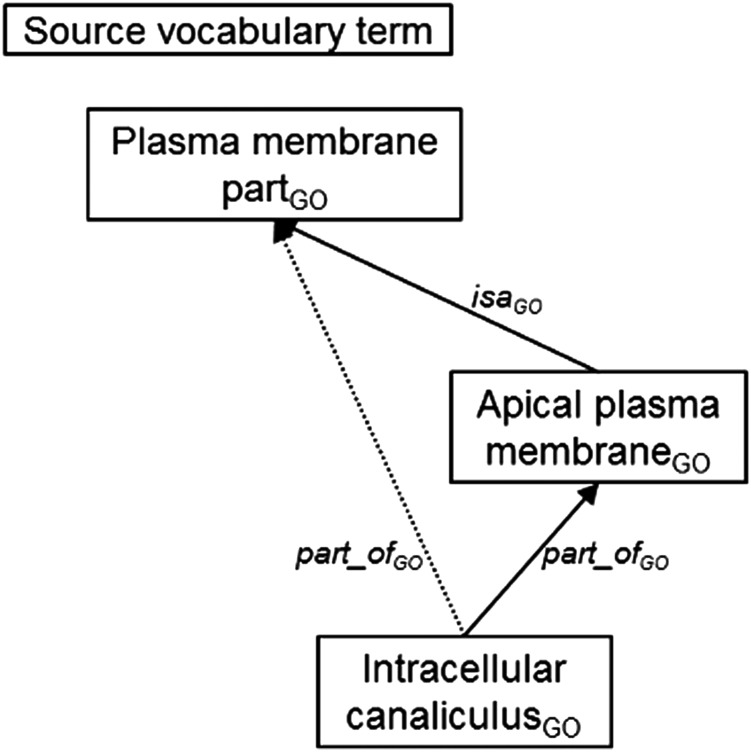 Figure 4