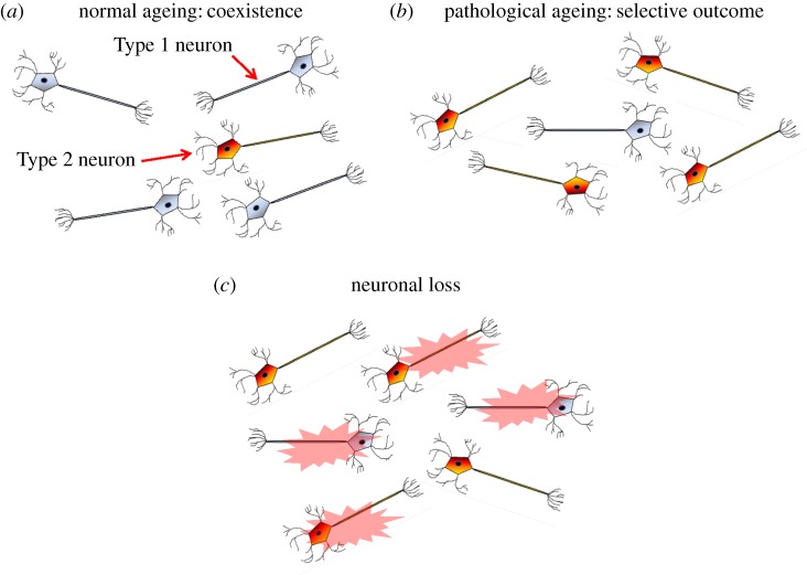 Figure 3.