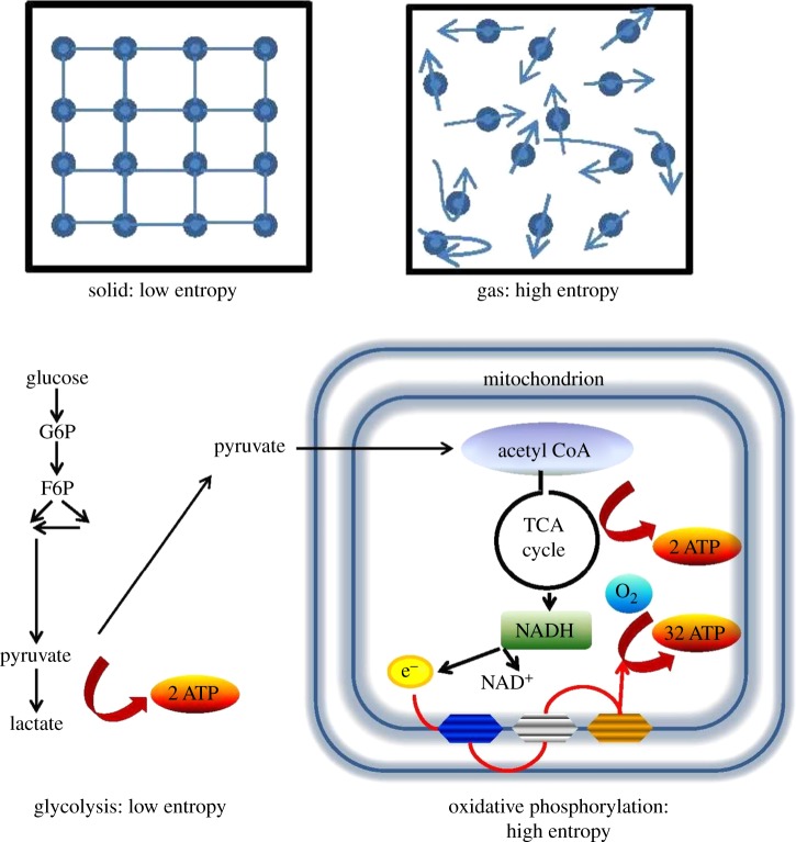 Figure 1.